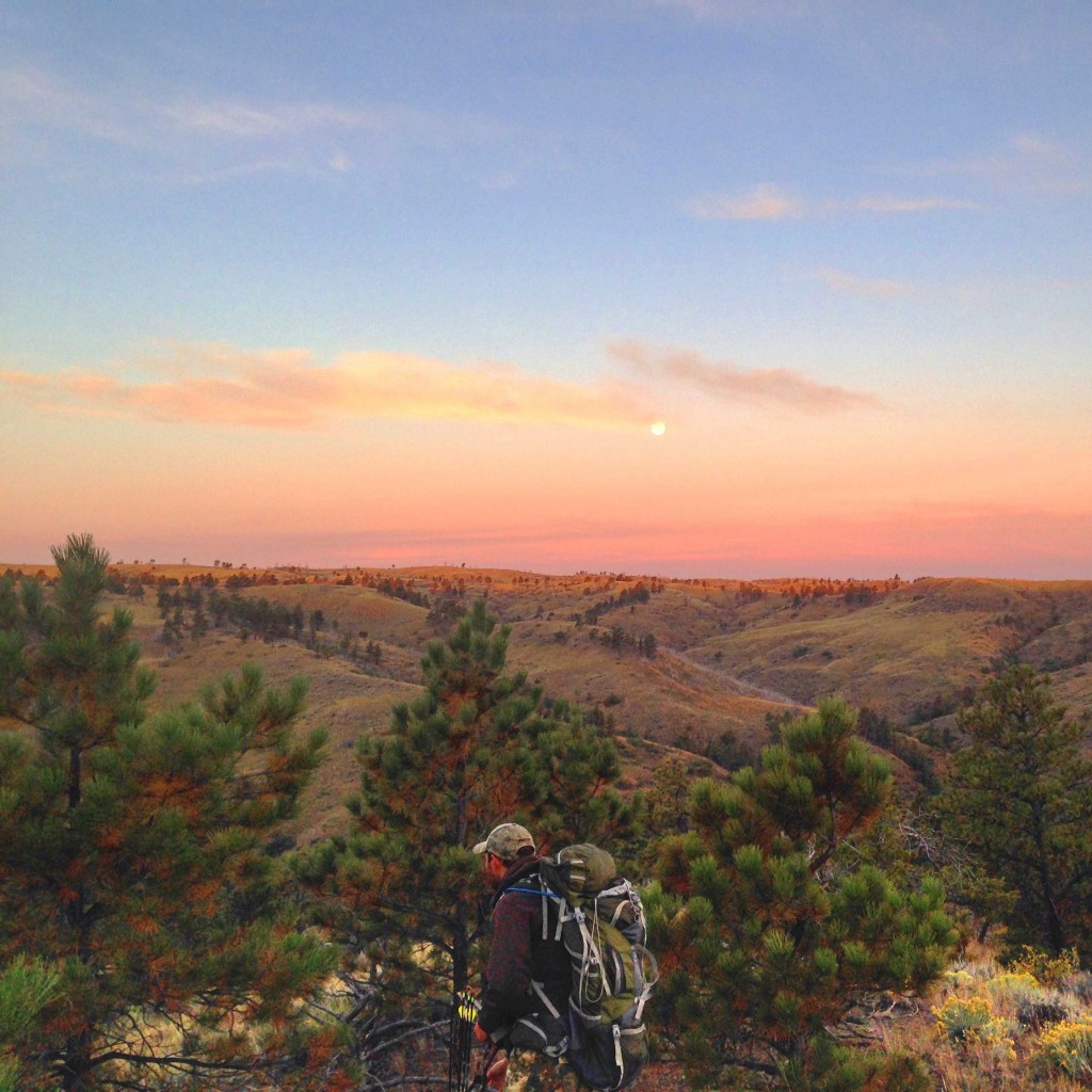 Bowhunting by Marcus Strange