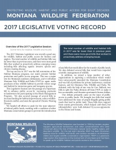 MWF 2017 Voting Record_Page_1