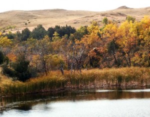 Horse Creek Easement