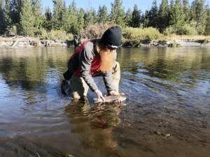 An angler kneeling in the water releases a fish into the madison river.