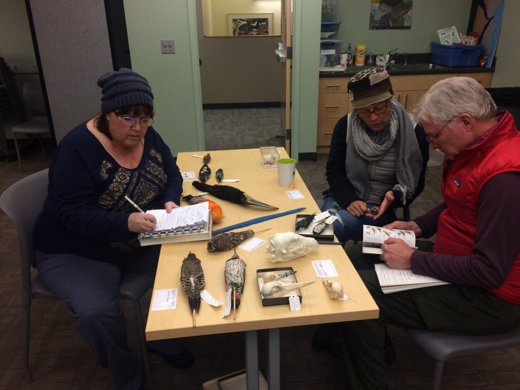 Master Naturalist students study bird specimens.