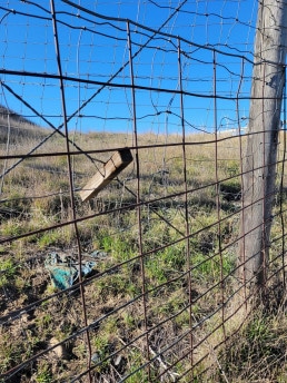 wildlife fence