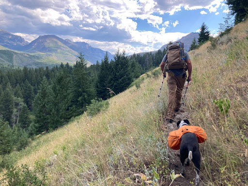 A crew member and four-legged field assistant carry fencing pliers into a fence pull site. (Photo courtesy of Ilona Wilde, MWF.